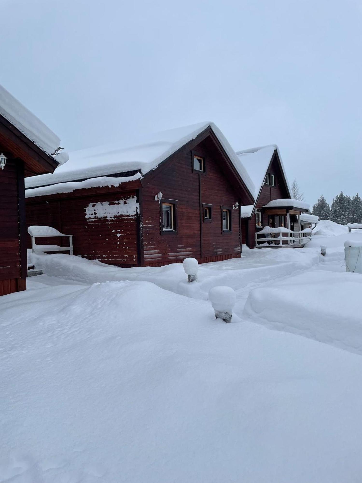Skogen-Lodge Koskullskulle Buitenkant foto